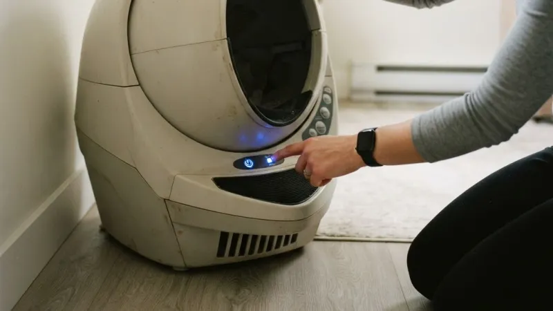 Resolving Persistent Blue Light Issues On Litter Robot 3