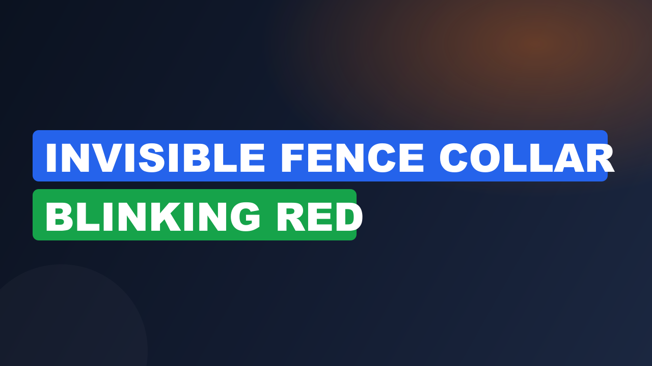 Invisible Fence Collar Blinking Red